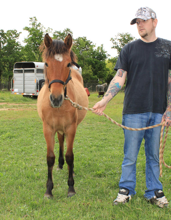 Register A Horse AIHR